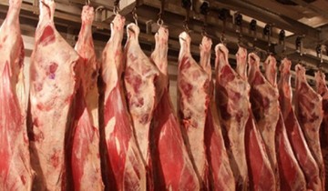 ارتفاع سعرها الى 150 جنيه .. تعرف على أسعار كل أنواع اللحوم النهاردة 24 شهر سبتمبر