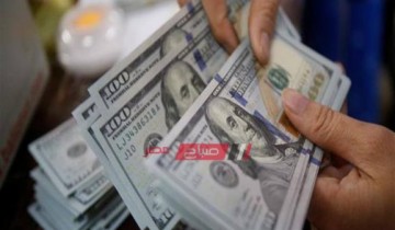 سعر الدولار الأمريكي والعملات الأجنبية أمام الجنيه المصري اليوم الأحد 24-11-2019