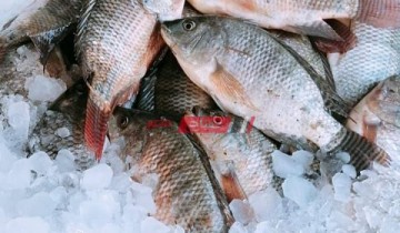 احدث أسعار الأسماك اليوم السبت 7-5-2022 في الاسواق المصرية