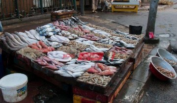 أسعار السمك في السوق المحدثة اليوم السبت 8-1-2022