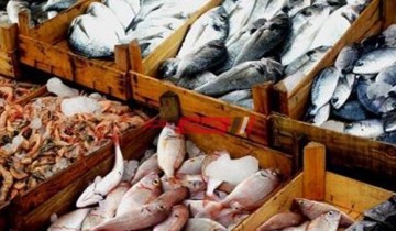 تعرف على احدث أسعار الأسماك اليوم الإثنين 21-3-2022