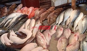 متوسط أسعار الأسماك اليوم الثلاثاء 19-4-2022 بالكيلو من كل الانواع