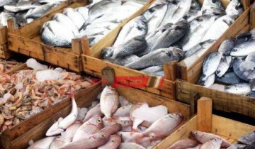 أحدث أسعار الأسماك والجمبري في أسواق مصر اليوم الجمعة 12-3-2021