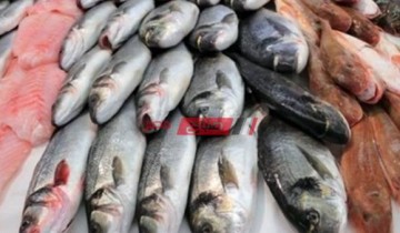 أسعار الأسماك والجمبري اليوم الخميس 11-3-2021 في محافظة الإسكندرية