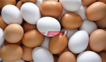 متوسط أسعار طبق البيض البلدي والاحمر في مصر اليوم السبت 23-4-2022