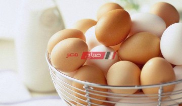 متوسط أسعار طبق البيض وكيلو الدواجن لكل الانواع اليوم الخميس 10-11-2022