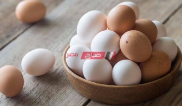 أسعار كرتونة البيض البلدي والأحمر والابيض في مصر اليوم الثلاثاء 21-12-2021