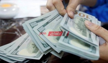 ثبات فى سعر الدولار في البنوك المصرية اليوم الاحد