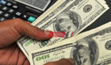 استقرار أسعار الدولار بتعاملات السودان اليوم الخميس 7-9-2023