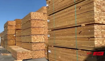 استقرار أسعار الخشب في مصر اليوم الجمعة 4-2-2022