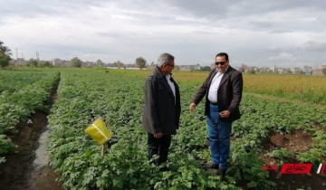 وكيل وزارة الزراعة بدمياط في جولة ميدانية يتابع زراعات البطاطس القائمة على الري بالتنقيط