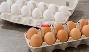 ننشر احدث أسعار البيض لكل الانواع في السوق المصري اليوم الأحد 24-4-2022