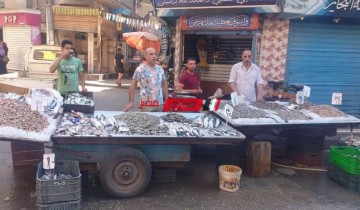 تحرير 25 محضر مخالفة لمحلات عزبة اللحم والسياله بدمياط لضبط الأسعار