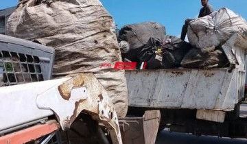 حملة مكبرة لازالة مخازن الخردة ورفع المخلفات بقرية الرياض في دمياط