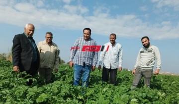 جولة ميدانية في يوم الحقل لوكيل زراعة دمياط بالتعاون مع الحملة القومية للقمح