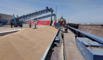 ارتفاع رصيد صومعة الحبوب والغلال للقطاع العام بميناء دمياط الى 159 الف طن قمح