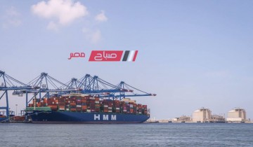 قطاران يغادران ميناء دمياط بحمولة 2567 طن قمح لصوامع شبرا و كوم ابو راضي