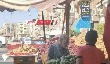 تكثيف حملات رفع الاشغالات على طريق الترعة الشرقاوية بدمياط