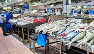 ننشر احدث أسعار اللحوم والأسماك اليوم الاربعاء 31-1-2024 بالاسواق المصرية
