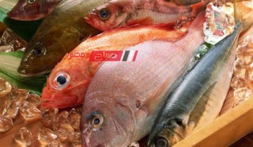 ننشر اخر أسعار اللحوم والأسماك اليوم الخميس 4-4-2024 بالاسواق المصرية