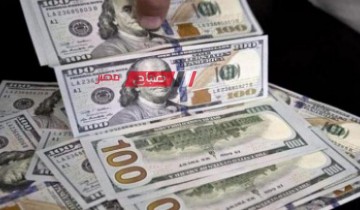 استقرار أسعار الدولار ببنوك السودان اليوم الاحد 2-6-2024 … تعرف عليها