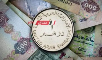استقرار أسعار الدرهم الإماراتي اليوم الاثنين 27-5-2024 امام الجنيه