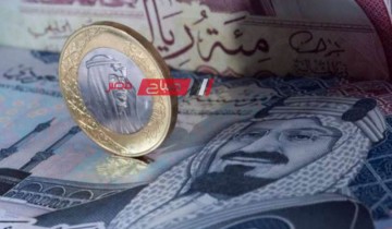 ثبات أسعار الريال السعودي اليوم الاحد 2-6-2024 في البنوك .. تعرف عليها
