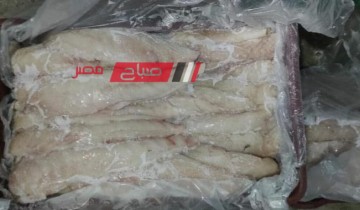 صحة دمياط تعلن ضبط 60 كيلو من الاسماك السامة قبل بيعها للمواطنين