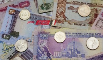 استقرار أسعار الدرهم الإماراتي اليوم الاثنين 20-5-2024 بالتعاملات الرسمية