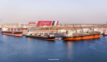 ميناء دمياط: نقل 1180 طن قمح إلى صوامع  كوم ابو راضي