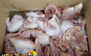 ضبط أجزاء دجاج مجهولة المصدر وغير صالحة للاستهلاك في الإسكندرية