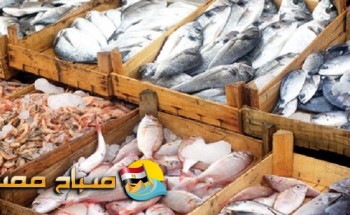 اسعار الاسماك فى اسواق محافظة كفر الشيخ اليوم الخميس