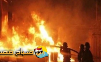 اندلاع حريق ضخم بمزرعة مواشي بشبين الكوم في محافظة المنوفية