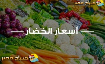 أسعار الخضروات فى محافظة بنى سويف اليوم الاحد