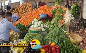 أسعار الخضار فى اسواق محافظة بنى سويف اليوم الاربعاء