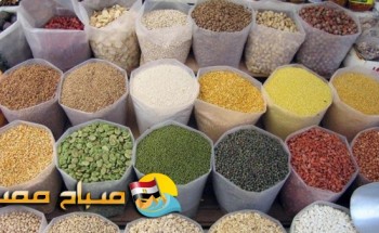 اسعار البقوليات والتوابل والأعشاب اليوم الاثنين فى اسواق محافظة الدقهلية