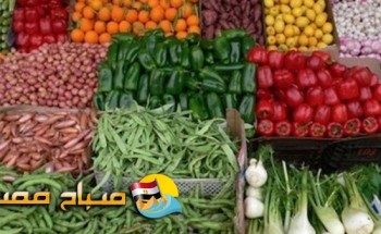 أسعار الخضروات اليوم الأحد 01-09-2019 بالأسواق
