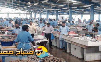 أسعار الأسماك اليوم الثلاثاء في محافظة الإسماعيلية