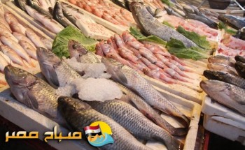 اسعار الاسماك فى محافظة الدقهلية اليوم الاثنين