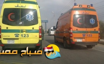 مصرع مواطن وإصابة ٢ آخرين فى حادث انقلاب سيارة ببرج العرب فى الإسكندرية