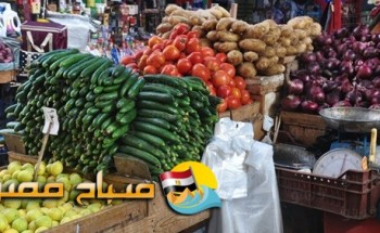 اسعار الخضروات فى اسواق محافظة القليوبية اليوم الاربعاء