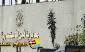 أمن الاسكندرية يضبط 15 حالة تحرش بأول وثاني أيام العيد في الإسكندرية