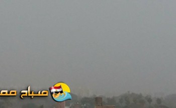 بالصور.. هطول أمطار فى الاسكندرية بعدة مناطق الآن