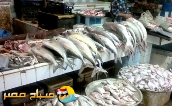 اسعار الاسماك اليوم الخميس 23-8-2018 بمحافظة الإسكندرية