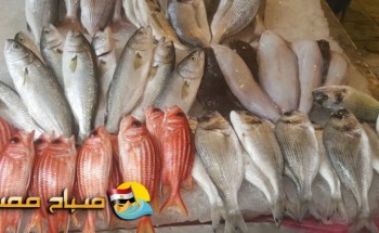أسعار الأسماك اليوم الأربعاء 23-1-2019 بمحافظة الاسكندرية