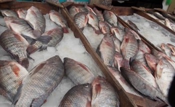 ننشر أسعار الأسماك بالمجمعات الاستهلاكية بجميع المحافظات