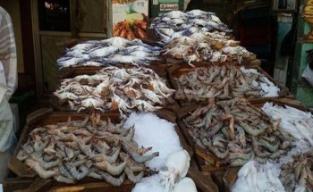 ارتفاع ملحوظ فى أسعار الأسماك في دمياط بسبب نقص المعروض