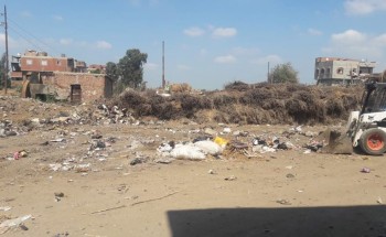 شن حملة لتنظيف وطلاء الارصفة و القضاء على الحشرات بقرية الكاشف الجديد بدمياط