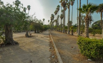 محافظ الإسكندرية ينفي شائعة بيع حديقة أنطونيادس