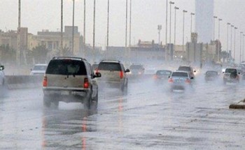 هيئة الارصاد الجوية تحذر من طقس اليوم الخميس بدمياط ” امطار و عواصف”